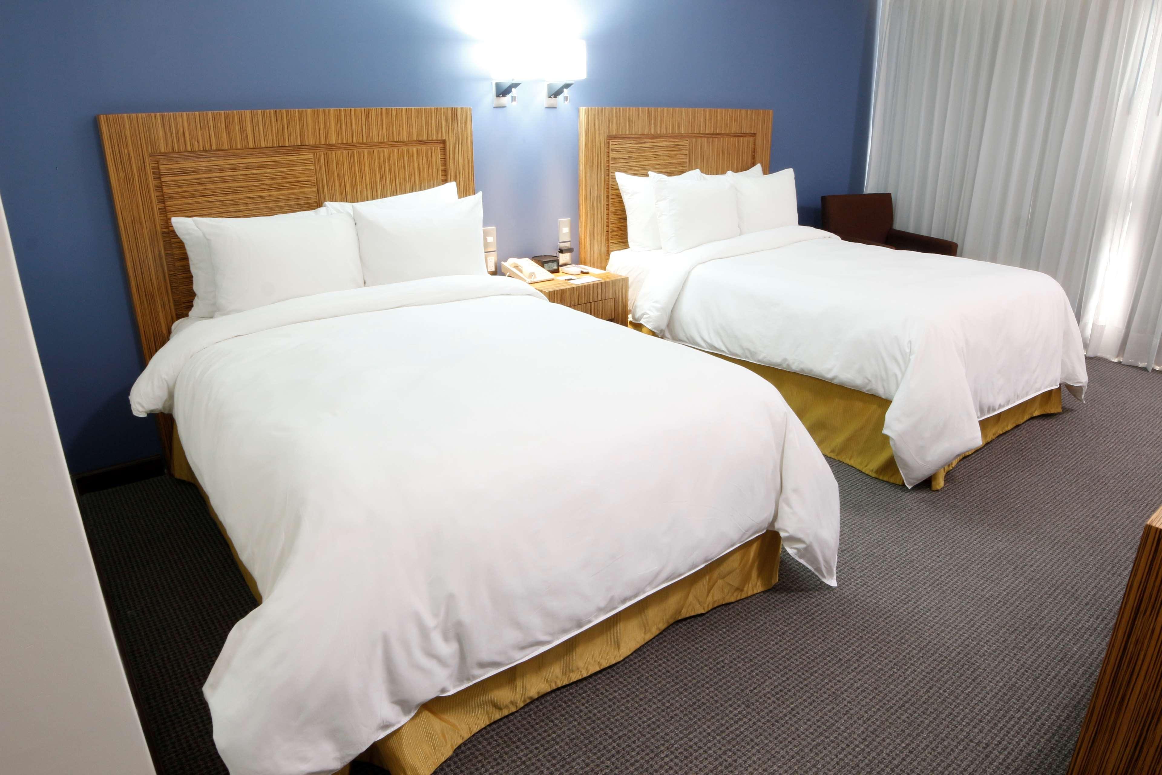Radisson Hotel & Convention Center Toluca Dış mekan fotoğraf